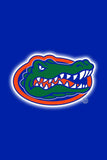 Men,s Collegiate Embroidered Shorts University of Florida