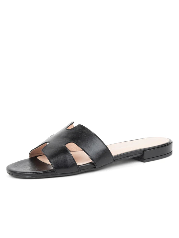 Popular Hallie Sandal by Patricia Green Black