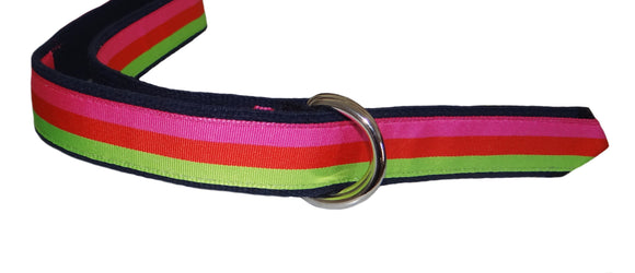 Custom D Ring Belt Multi Stripe